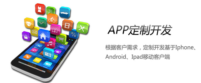 APP定制开发